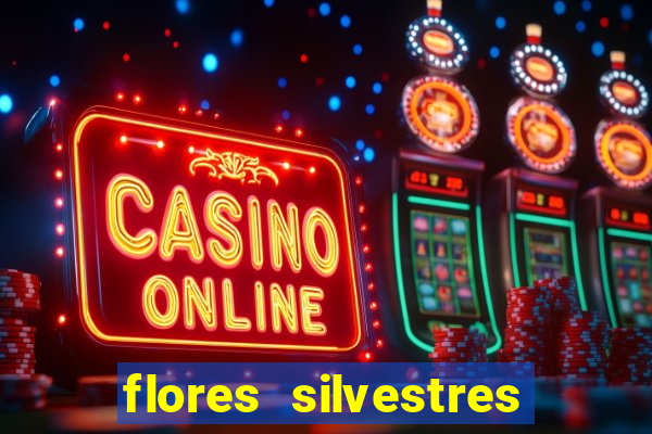 flores silvestres desbravadores desbravadores 25